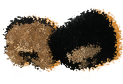 20250805 2313 enhanced truffle image remix 01k1y4k7anfryva1fz791awbvp 5