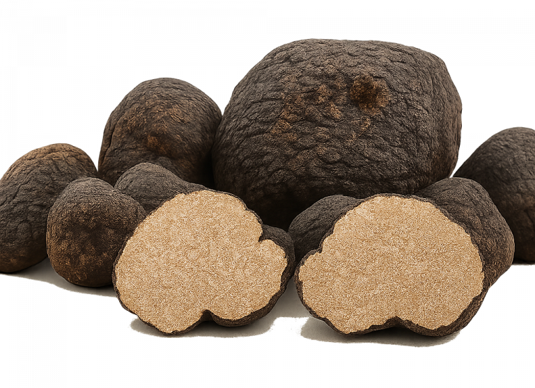 adobe express file (3)