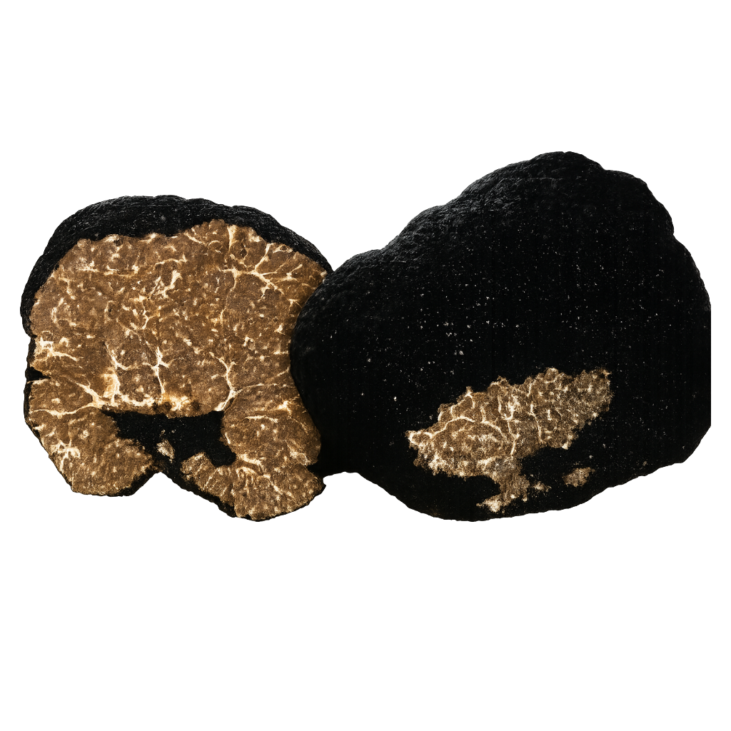 design fără titlu (6)