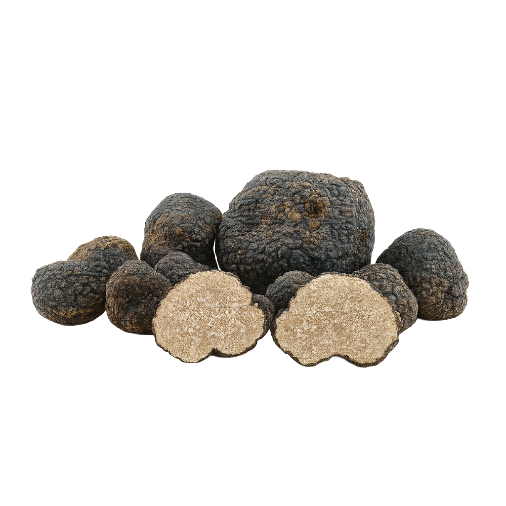 design fără titlu (7)