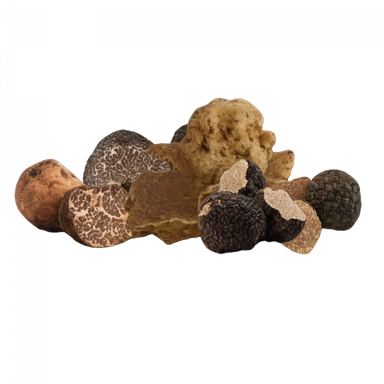 design fără titlu (8)